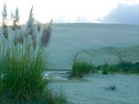 Гигантские дюны